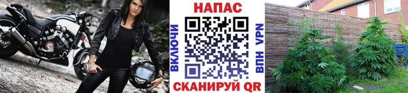 Купить наркотик аптеки Оха Канабис  Мефедрон  Амфетамин  mega сайт  Гашиш 