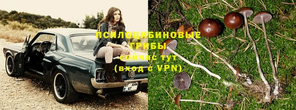 кокс Горно-Алтайск