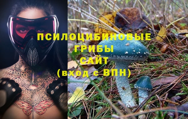 марки lsd Горняк