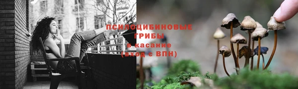 мескалин Горнозаводск