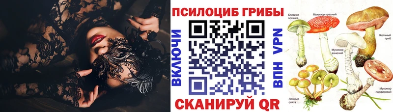 mega ТОР Оха Псилоцибиновые грибы ЛСД
