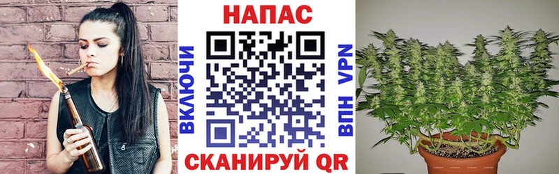 купить наркотики сайты  mega ссылка  Каннабис Amnesia  Оха 